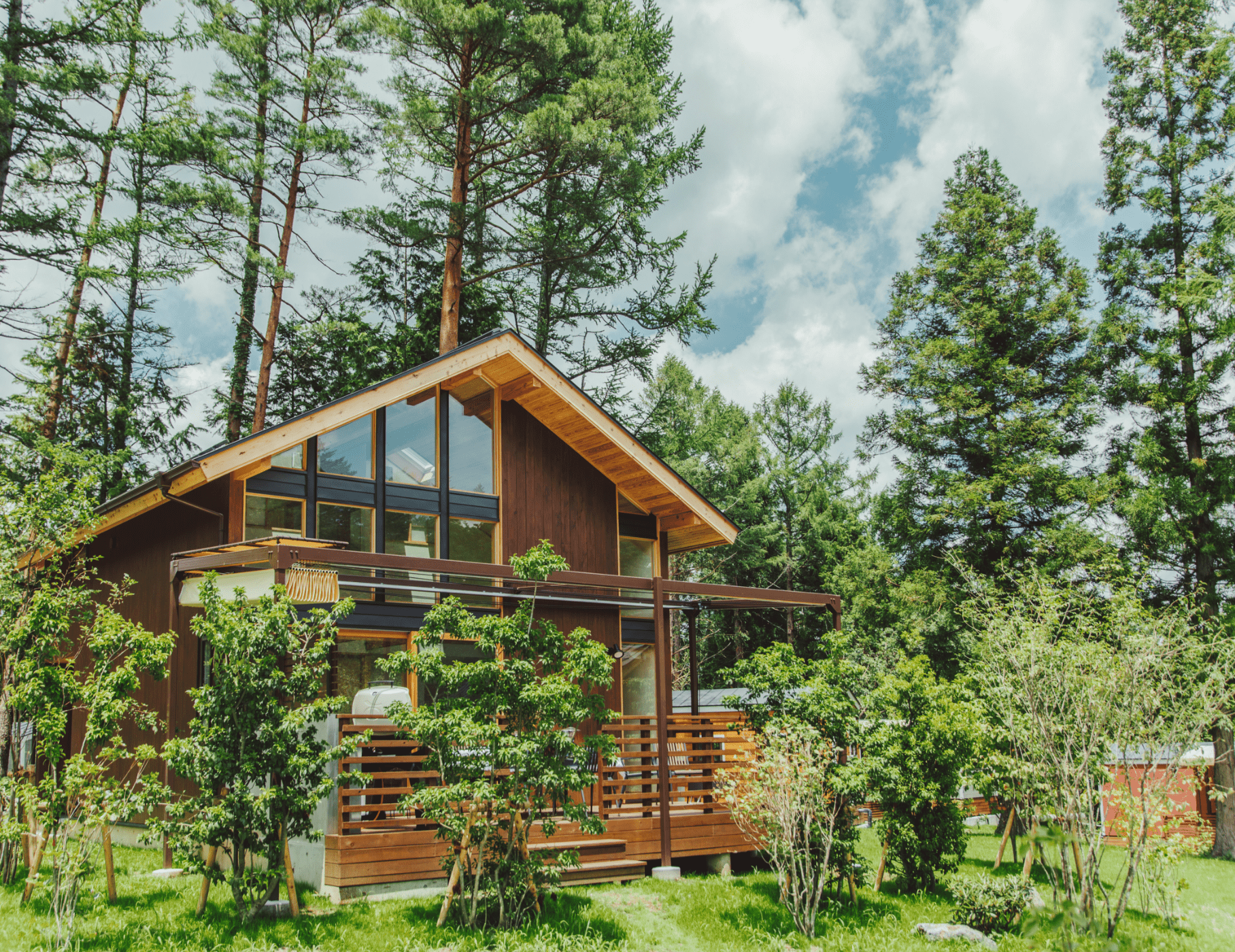 Living together with Mt. Fuji’s forests