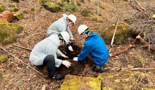 Tree planting in the Corporate Forest (municipal forest in Nishikatsura Town)